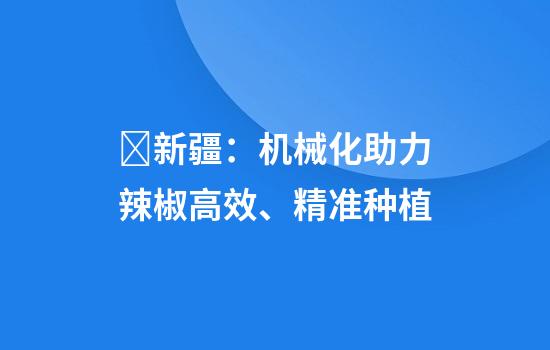 新疆:机械化助力辣椒高效、精准种植