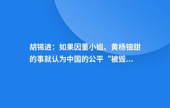 胡锡进:如果因董小姐、黄杨钿甜的事就认为中国的公平“被毁掉”,我觉得过于夸张了