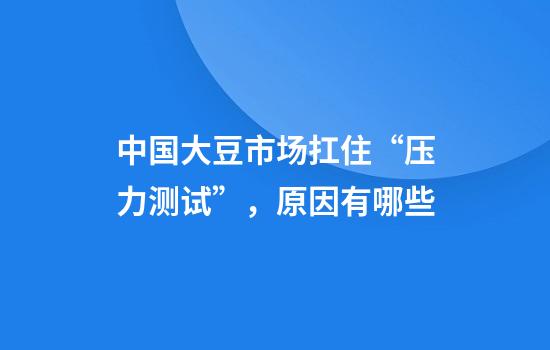 中国大豆市场扛住“压力测试”,原因有哪些