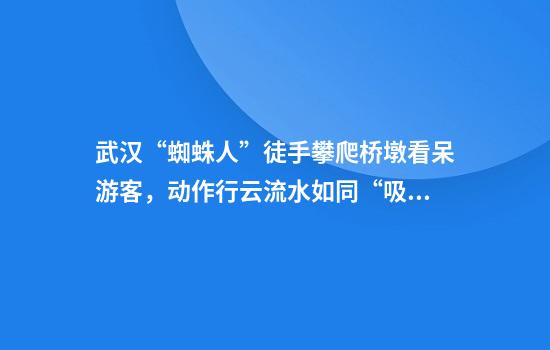 武汉“蜘蛛人”徒手攀爬桥墩看呆游客,动作行云流水如同“吸附”墙面,官方回应