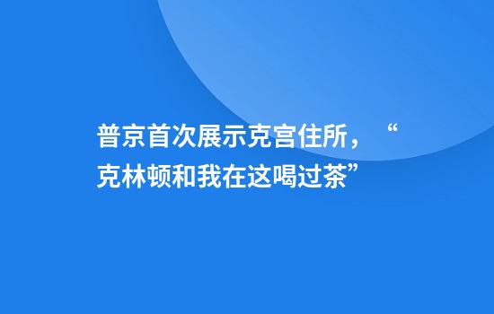 普京首次展示克宫住所,“克林顿和我在这喝过茶”
