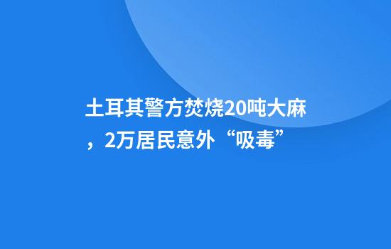土耳其警方焚烧20吨大麻,2万居民意外“吸毒”