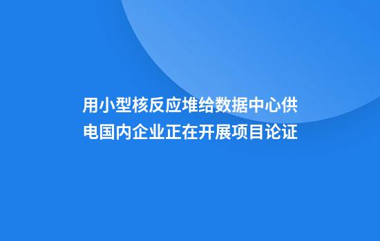 用小型核反应堆给数据中心供电国内企业正在开展项目论证