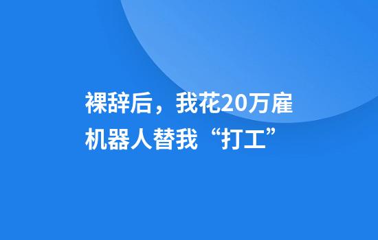 裸辞后,我花20万雇机器人替我“打工”