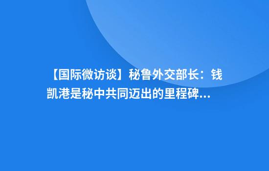 【国际微访谈】秘鲁外交部长:钱凯港是秘中共同迈出的里程碑式的一步