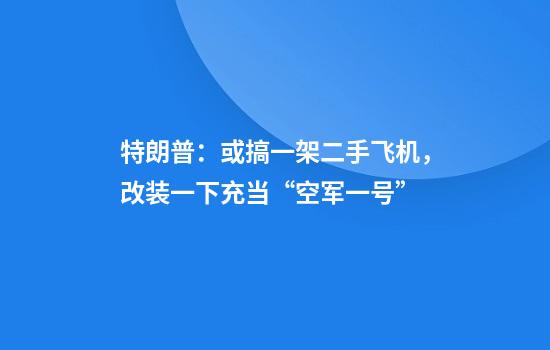 特朗普：或搞一架二手飞机，改装一下充当“空军一号”