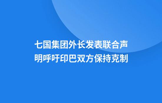 七国集团外长发表联合声明呼吁印巴双方保持克制