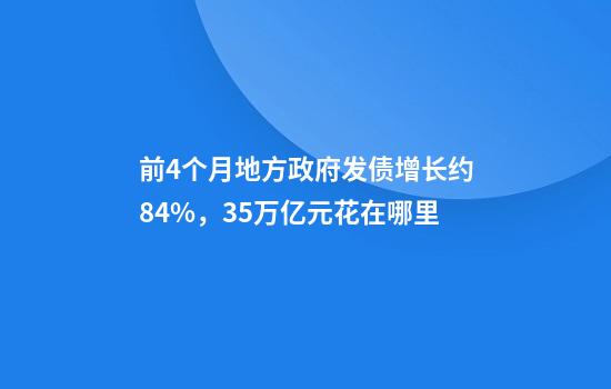前4个月地方政府发债增长约84%,3.5万亿元花在哪里