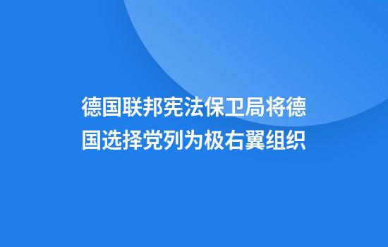 德国联邦宪法保卫局将德国选择党列为极右翼组织